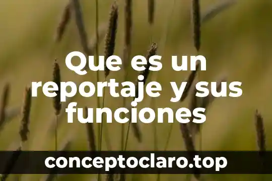 Qué es psicopedagogía y sus funciones 5 Que es un reportaje y sus funciones