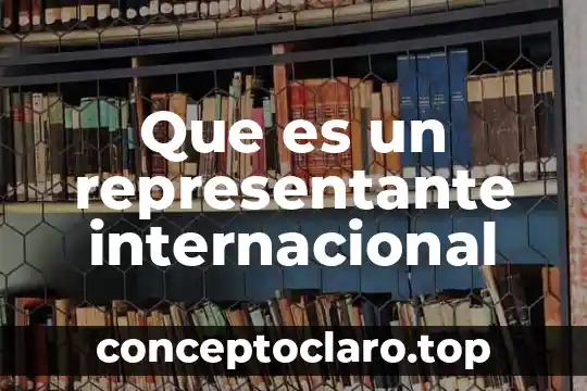 Que es la inversion financiera internacional 8 Que es un representante internacional