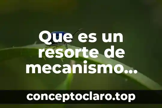 Qué es un mecanismo rae 3 Que es un resorte de mecanismo para una llanta