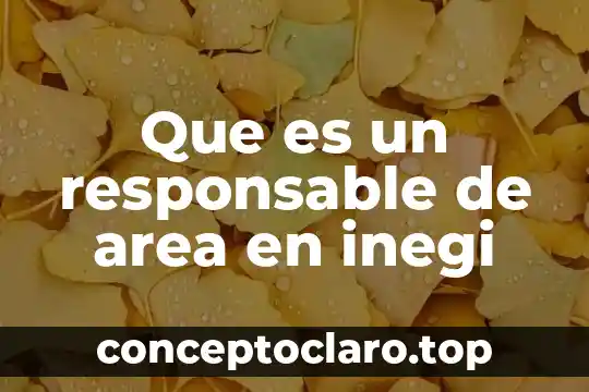 Que es un responsable de area en inegi