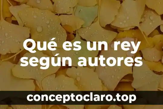 Qué es un rey según autores