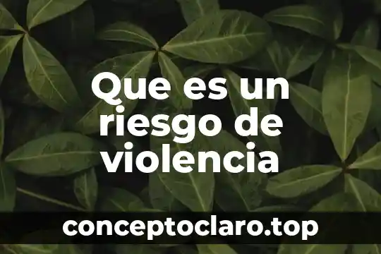 Que es un riesgo de violencia