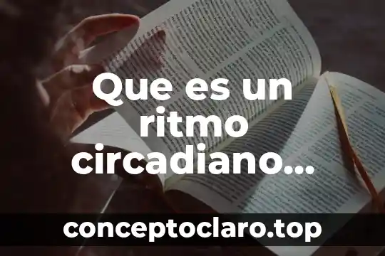 Que es significado ritmo obstetricia 8 Que es un ritmo circadiano resumen