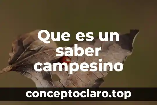 Que es un saber campesino