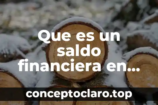 Que es administración financiera udg 5 Que es un saldo financiera en contabilidad