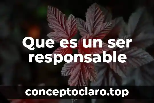 Que es un ser responsable