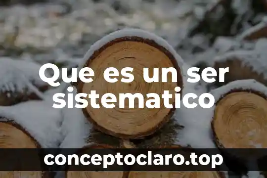 Que es ser autodisciplinado 4 Que es un ser sistematico