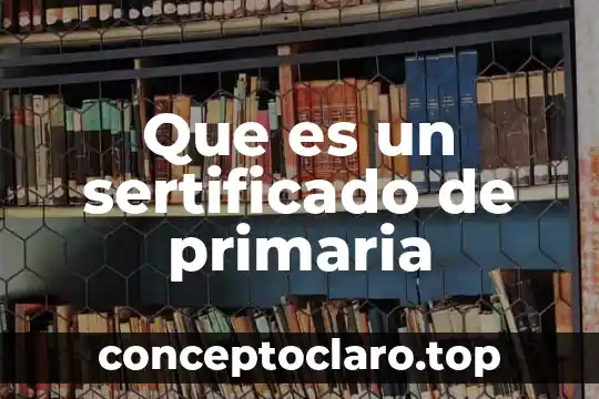 Que es la particion primaria y secundaria 7 Que es un sertificado de primaria