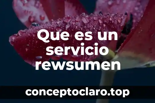 Que es un servicio rewsumen