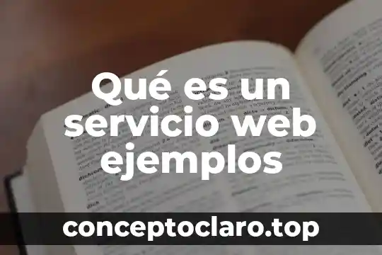 Qué es un humanware y ejemplos 6 Qué es un servicio web ejemplos