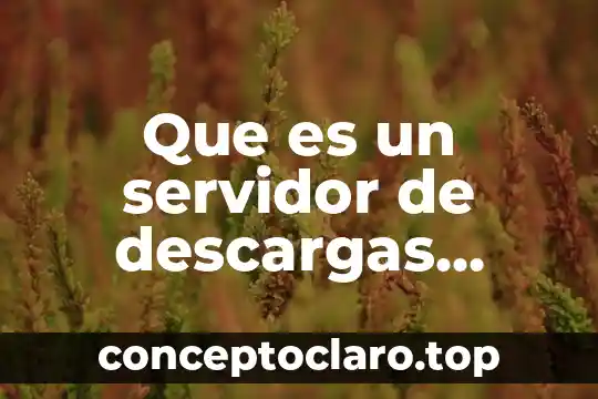 Que significa o que es un url en informatica 8 Que es un servidor de descargas informatica