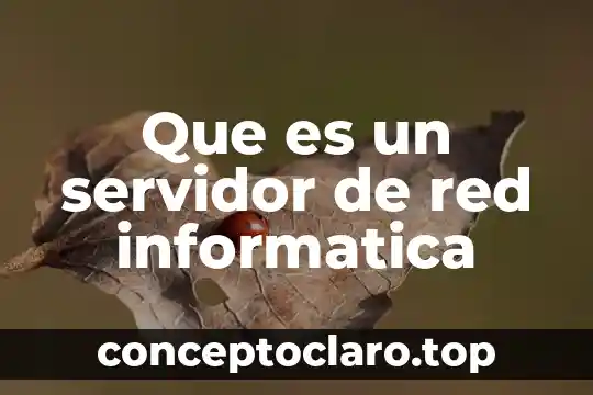 Que significa o que es un url en informatica 3 Que es un servidor de red informatica