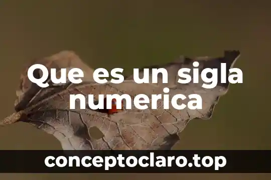 Qué es la sucesión numérica en figuras 5 Que es un sigla numerica