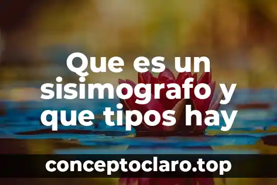 Que es un sisimografo y que tipos hay