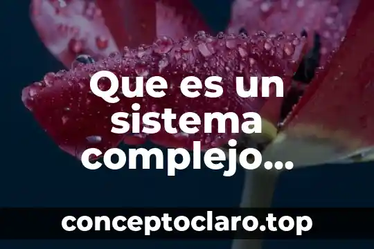 Que es un sistema complejo concepto desarrollo sustentable