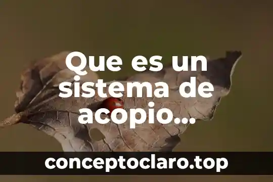 Que es un sistema de acopio empaque distribucion y mercado
