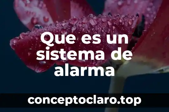 Que es un sistema de alarma