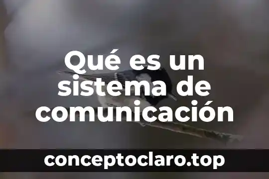 Qué es un sistema de comunicación