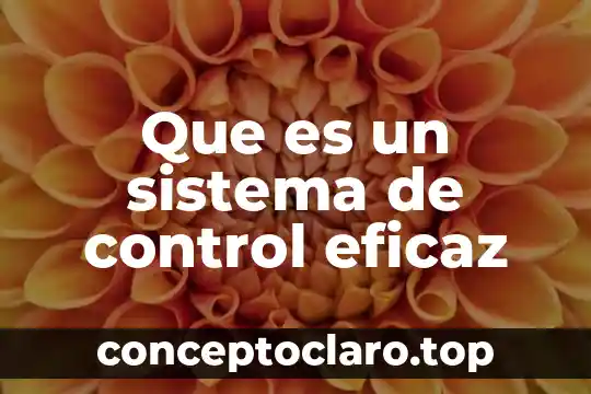 Que es un sistema de control eficaz