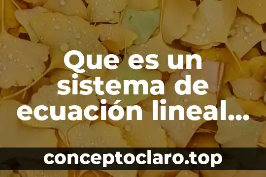 Que es el tipo de implantación lineal 4 Que es un sistema de ecuación lineal de 2×2