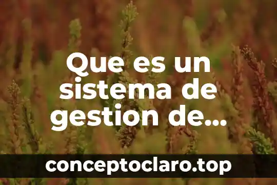 Que es un registro en informatica con autor 5 Que es un sistema de gestion de calidad autor