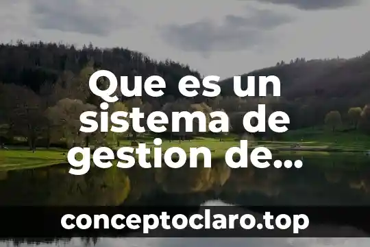 Que es un sistema de gestion de calidad una organizacion