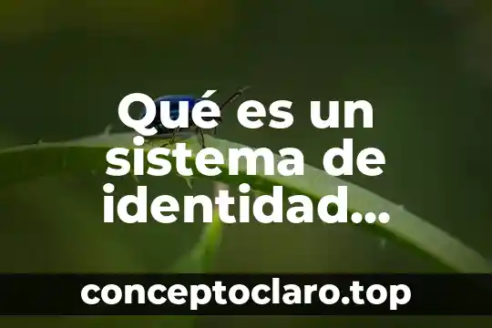 Qué es un sistema de identidad visual