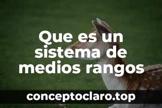 Que es un sistema de medios rangos
