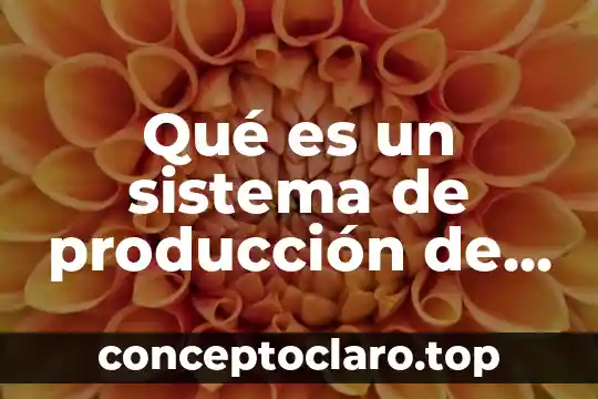 Qué es un sistema de producción de bienes