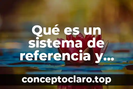 Qué es un sistema de referencia y tipos