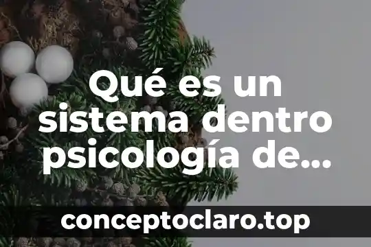 Qué es un sistema dentro psicología de masas