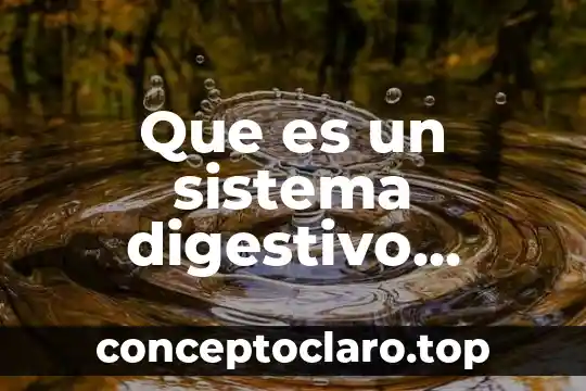 Que es un sistema digestivo completo ejemplos