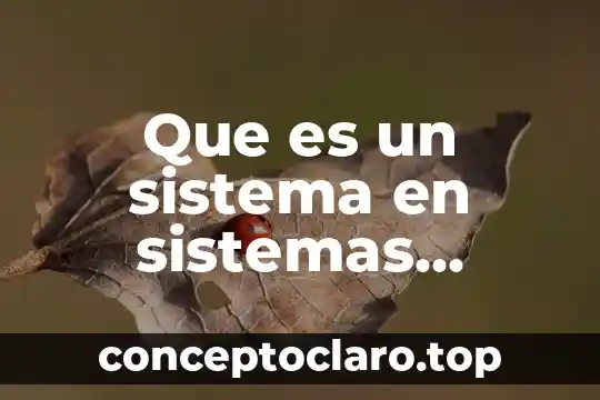Que es la reserva fraccionaria del sistema bancario 4 Que es un sistema en sistemas computacionales
