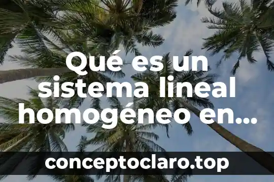 Qué es un sistema lineal homogéneo en álgebra