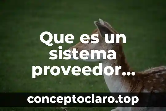 Que es un sistema proveedor distribuidor