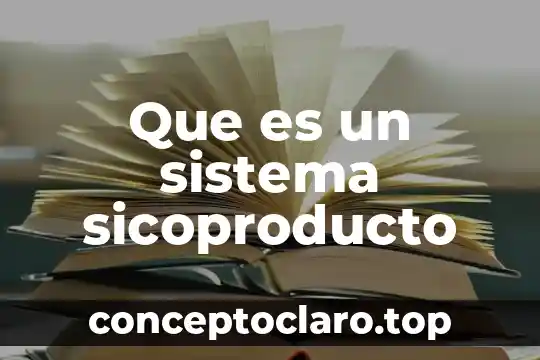 Que es un sistema sicoproducto