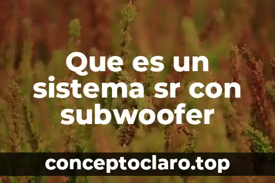 Que es un sistema sr con subwoofer