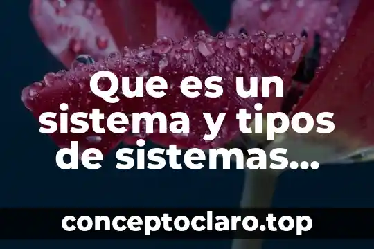 Que es un sistema y tipos de sistemas unam