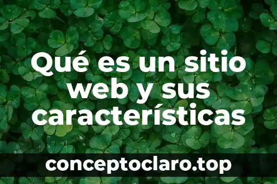 Qué es un sitio web y sus características
