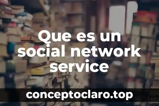 Que es un social network service