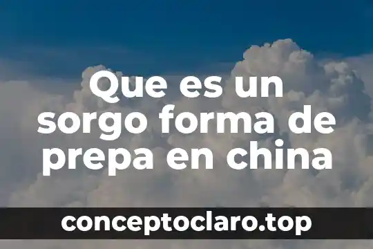 Que es un sorgo forma de prepa en china