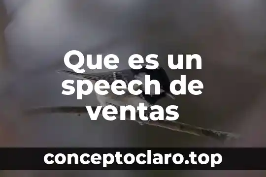 Que es la presentacion del mensaje de ventas 4 Que es un speech de ventas