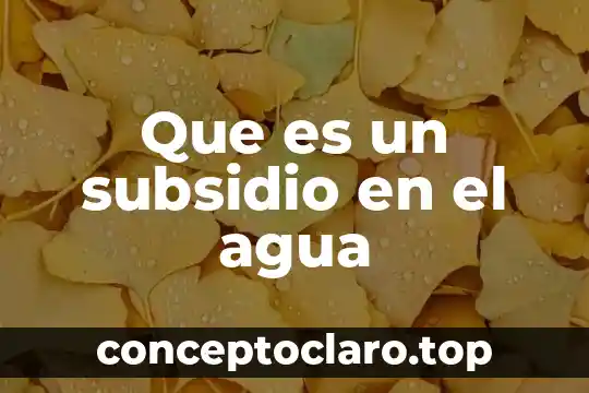 Que es agua fluorada 4 Que es un subsidio en el agua
