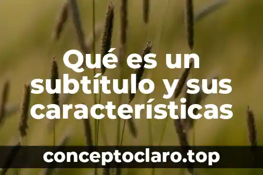 Qué es un subtítulo y sus características