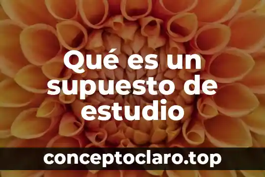Ejemplo de un supuesto por que es nulo 5 Qué es un supuesto de estudio