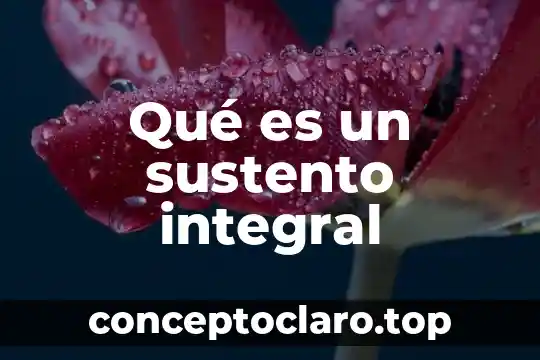 Qué es un sustento integral