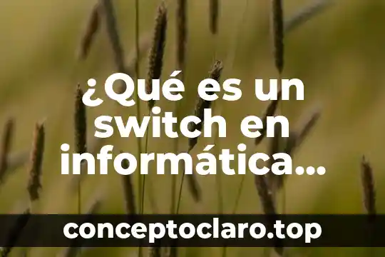 Switch no administrable que es 3 ¿Qué es un switch en informática PowerPoint?