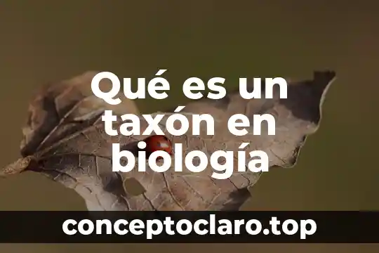 Qué es un taxón en biología