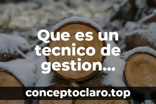 Que es gestion en mexico 5 Que es un tecnico de gestion administrativa