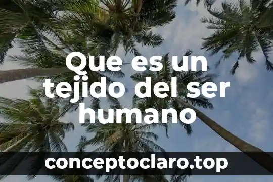Que es un tejido del ser humano